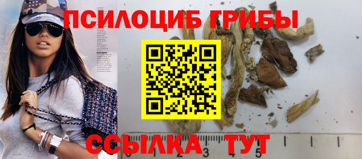 Псилоцибиновые грибы прущие грибы Реутов